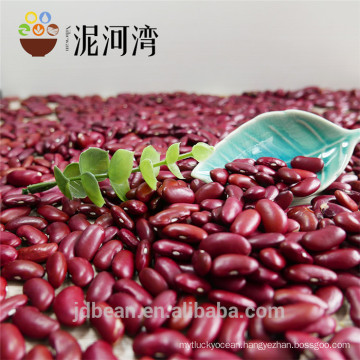 500g vacuum packing organic dark red kidney bean hot sale for supermarket